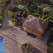 thatchhawaii.jpg