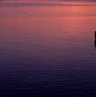 water2.jpg