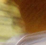 yellow-blur.jpg